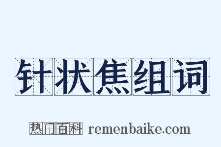 针状焦组词是什么意思的图片